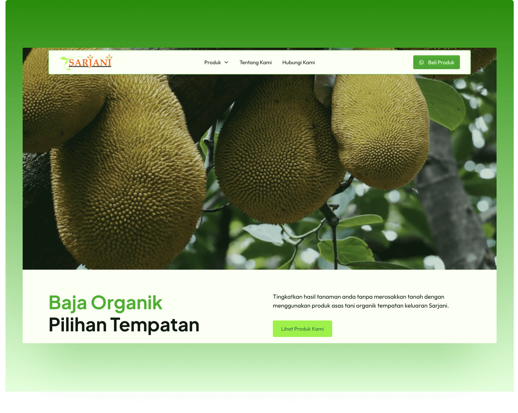 Screenshot of Sarjani website