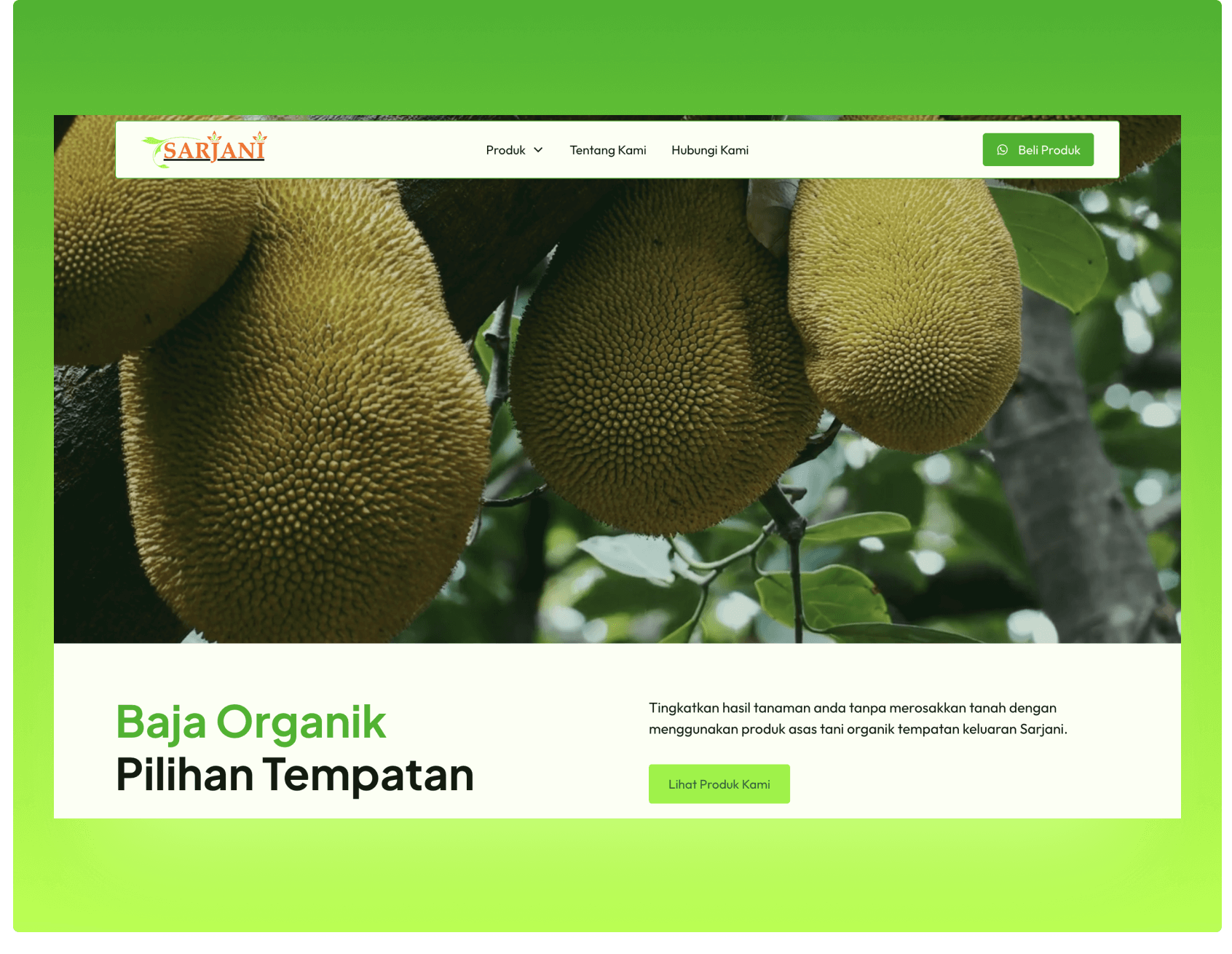 Screenshot of Sarjani website
